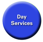 day services
